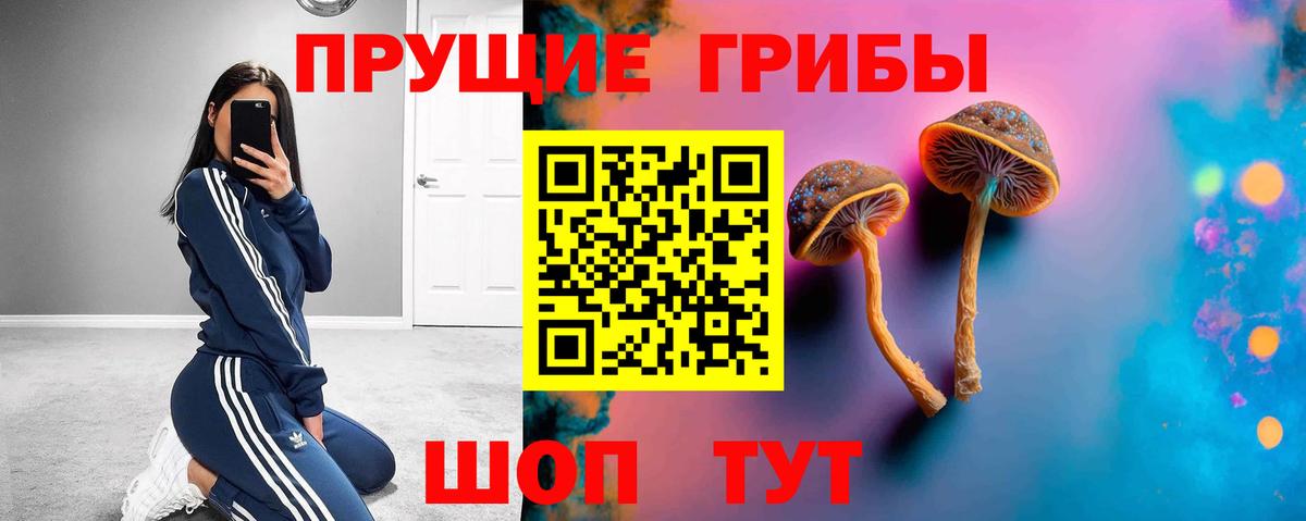 Псилоцибиновые грибы ЛСД  Вход с VPN  Острогожск 